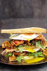 Bacon and Egg Sanwich