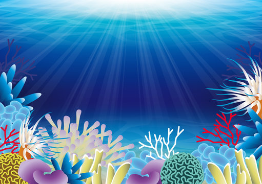 海の中 Images Browse 1 448 Stock Photos Vectors And Video Adobe Stock