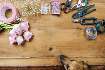 Florist workplace: dog looking at flowers and accessories