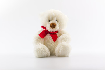 Classic white teddy bear.