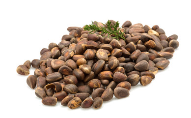 Cedar nut heap