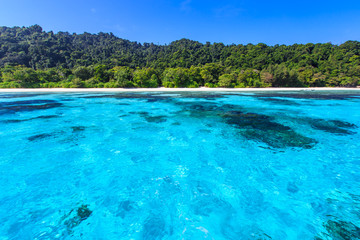 Fototapeta na wymiar Beach of tropical crystal clear sea, Ta Chai island