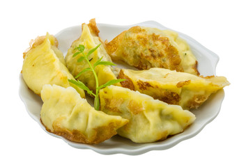 Japan dumplings - gyoza