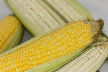 corn