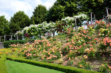 garden and chateau La Chatonniere near Villandry
