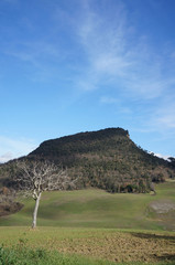 Monte Voltraio 2