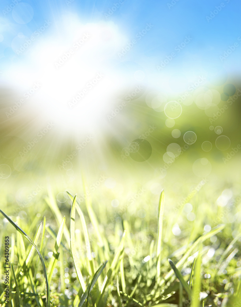 Wall mural Spring grass and sky background