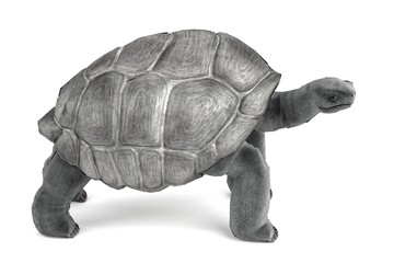 realistic 3d render of geochelone nigra