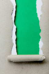 Green paper