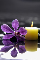 still life with macro of orchid and candle on black stones