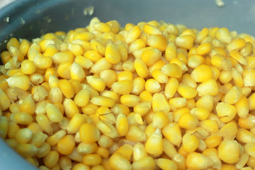 Sweet corn in the market