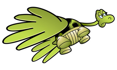 flying tortoise