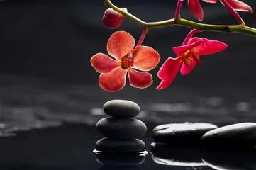 Fototapete Still life with branch red orchid with therapy stones © Mee Ting