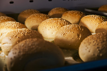 hamburger buns