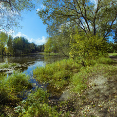 Fototapeta na wymiar Landscape with backwater at early autumn