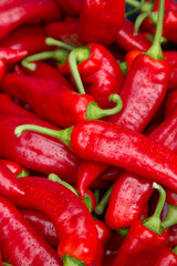 Chili peppers