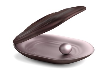 realistic 3d render of shell