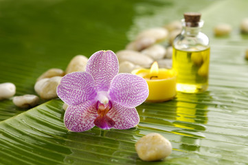 Obraz na płótnie Canvas flower orchid with set of stones on banana leaf