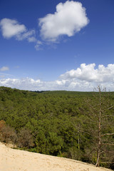 Fototapeta premium dune of Pyla