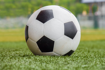 Fototapeta premium soccer ball on the grass