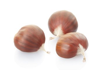 Chestnuts group on white, clipping path