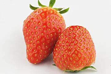 Tragetasche Erdbeeren © Coramija