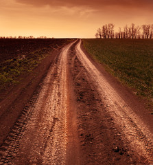 Naklejka premium Country road through the fields, tinted photo