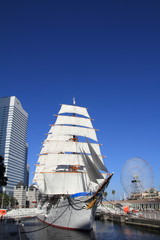 日本丸の総帆展帆