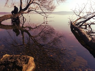 riflessioni
