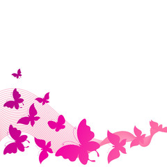 butterflies design