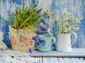 Hyacinths and daisies