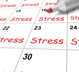 Stress Calendar Means Pressure Strain And Burden