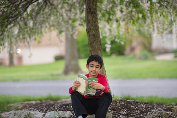 Little Boy Reading a Book Underneath a Tree in Spring