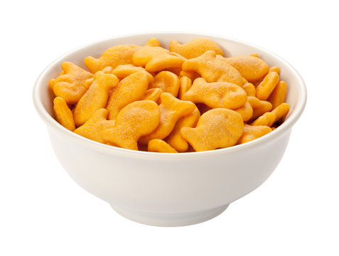 972 Best Goldfish Snack Images Stock Photos Vectors Adobe Stock 972 Best Goldfish Snack Images Stock Photos Vectors Adobe Stock