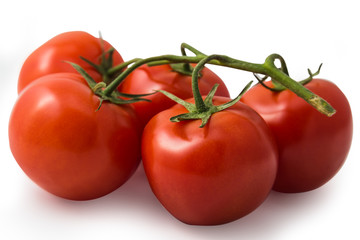 fresh tomatoes