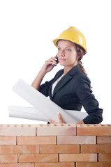 Businesswoman with drawings near brick wall