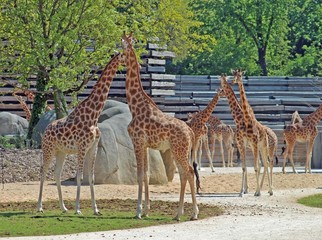 Zoo de Paris