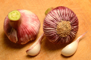 Fresh Garlic over a wooden cutting board