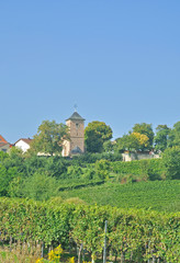 Fototapeta na wymiar Weinort Herxheim am Berg nahe Bad Dürkheim