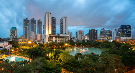 Fototapeta na wymiar Bangkok Cityscape at twilight, Park in the City (Thailand)
