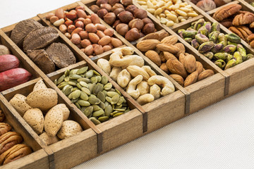 nuts and seed abstract