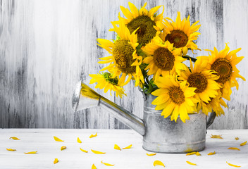 Still life bouquet sunflowers watering can © Yotka