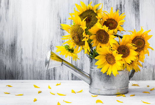 Still life bouquet sunflowers watering can