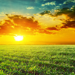 orange sunset over green grass field