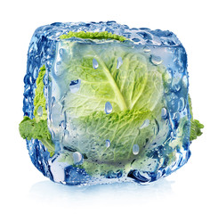 Ice cube with brussel sprouts