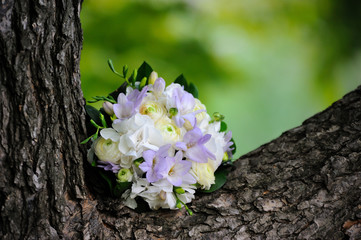 Bridal bouquet on the branches of a tree