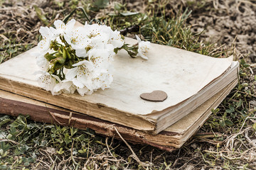 book and twig with cherry blossoms
