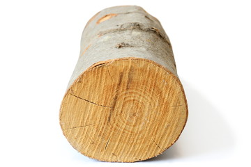 piece of firewood on white
