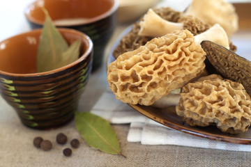 Fresh morel mushrooms on a plate