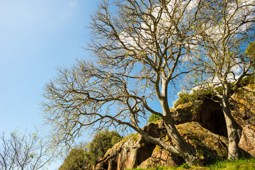 sardinian necropolis natural landscape